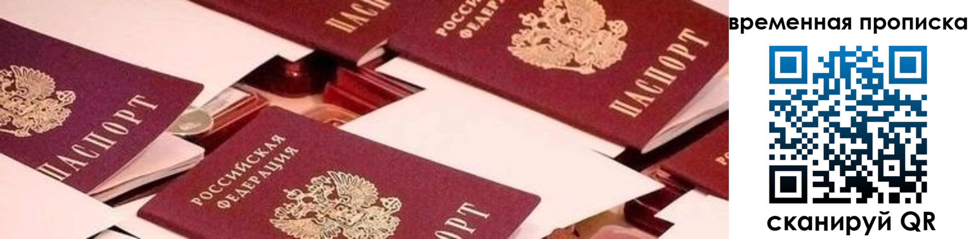 временная регистрация гарантия в Невеле